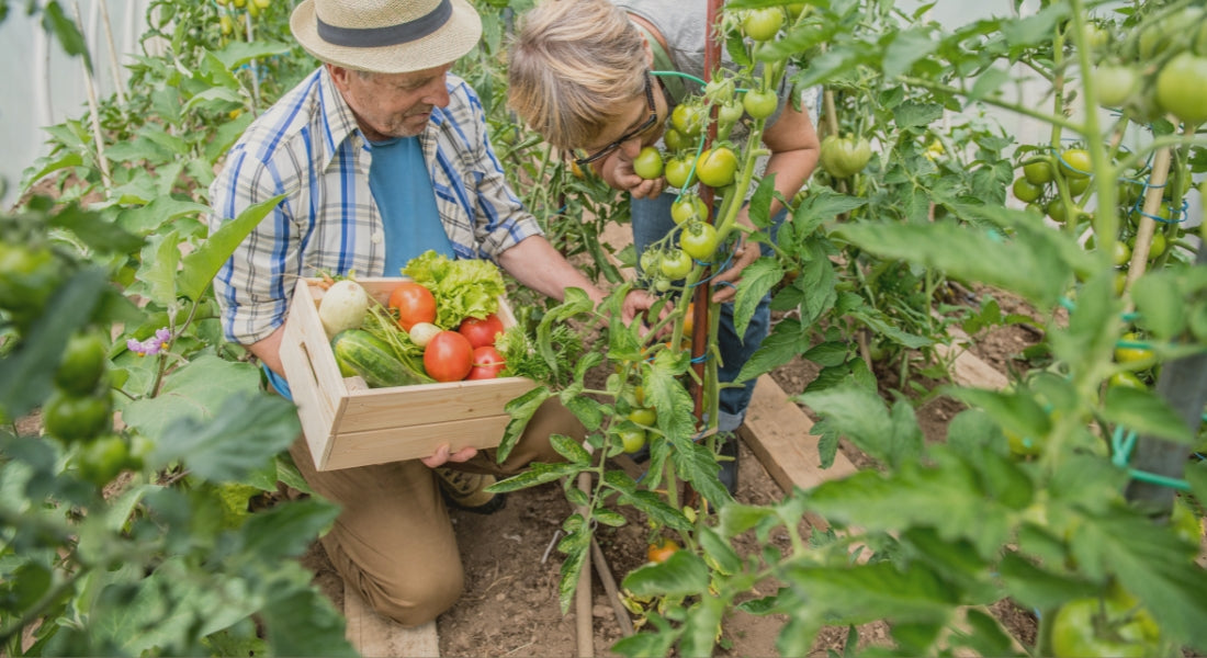 Welches Vitamin hilft gegen Vergesslichkeit? Die besten Mikronährstoffe im Überblick