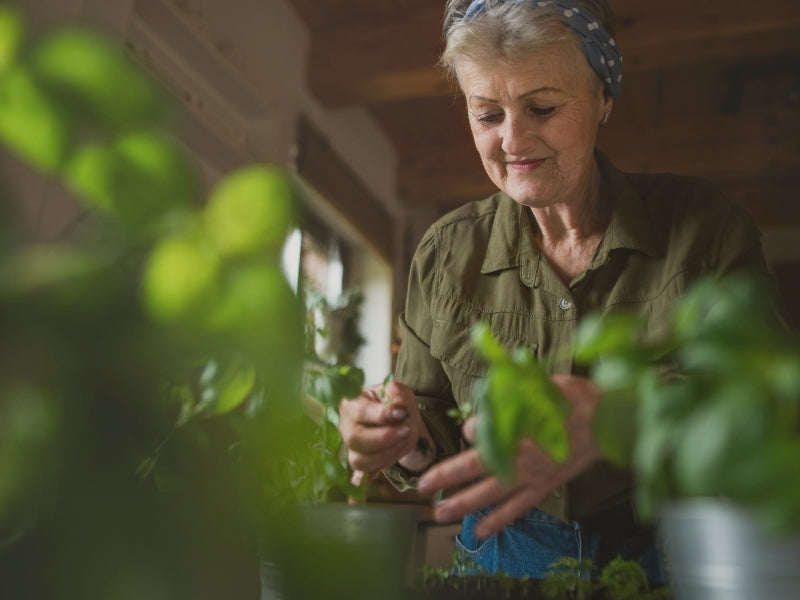 Gehirnleistung verbessern ab 50: So bleibst du geistig fit