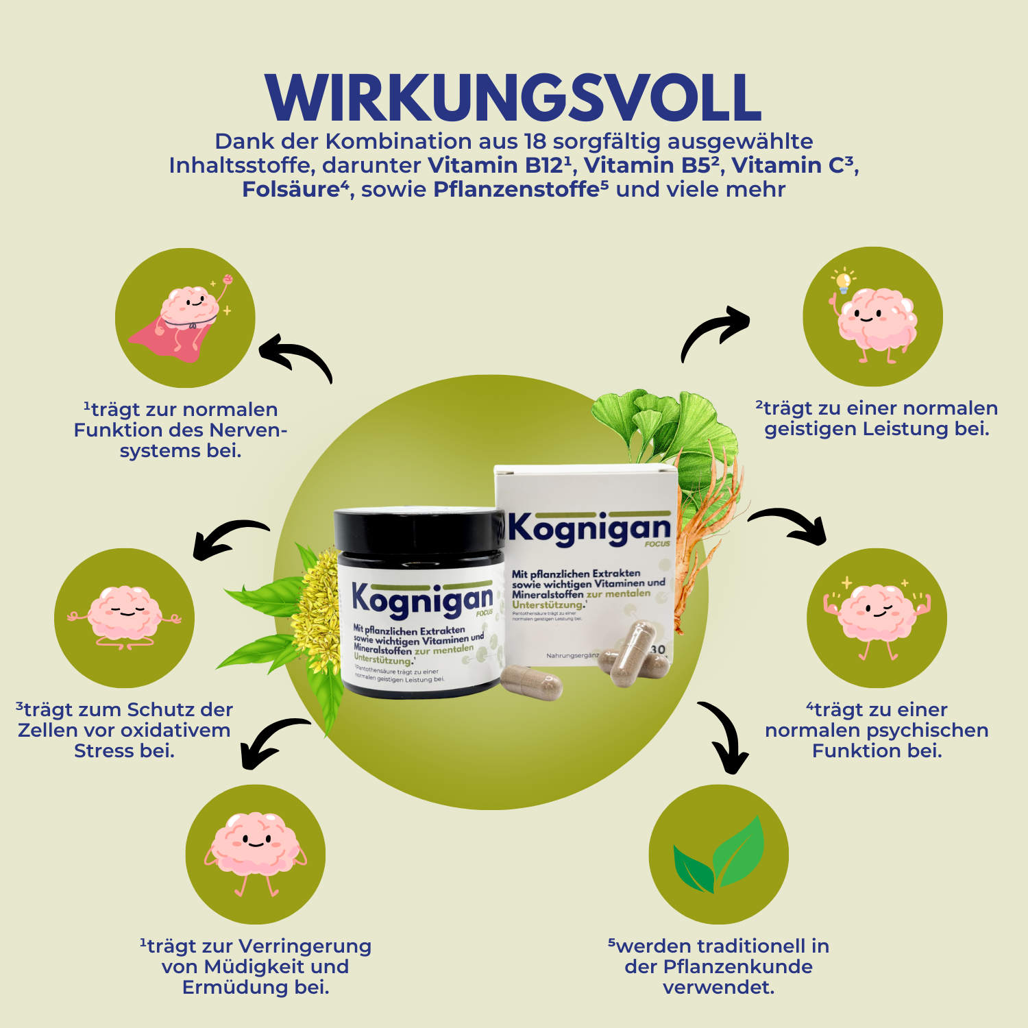 Kognigan - für Gehirn, Konzentration und Gedächtnis - mit Pflanzenextrakten & Vitaminen