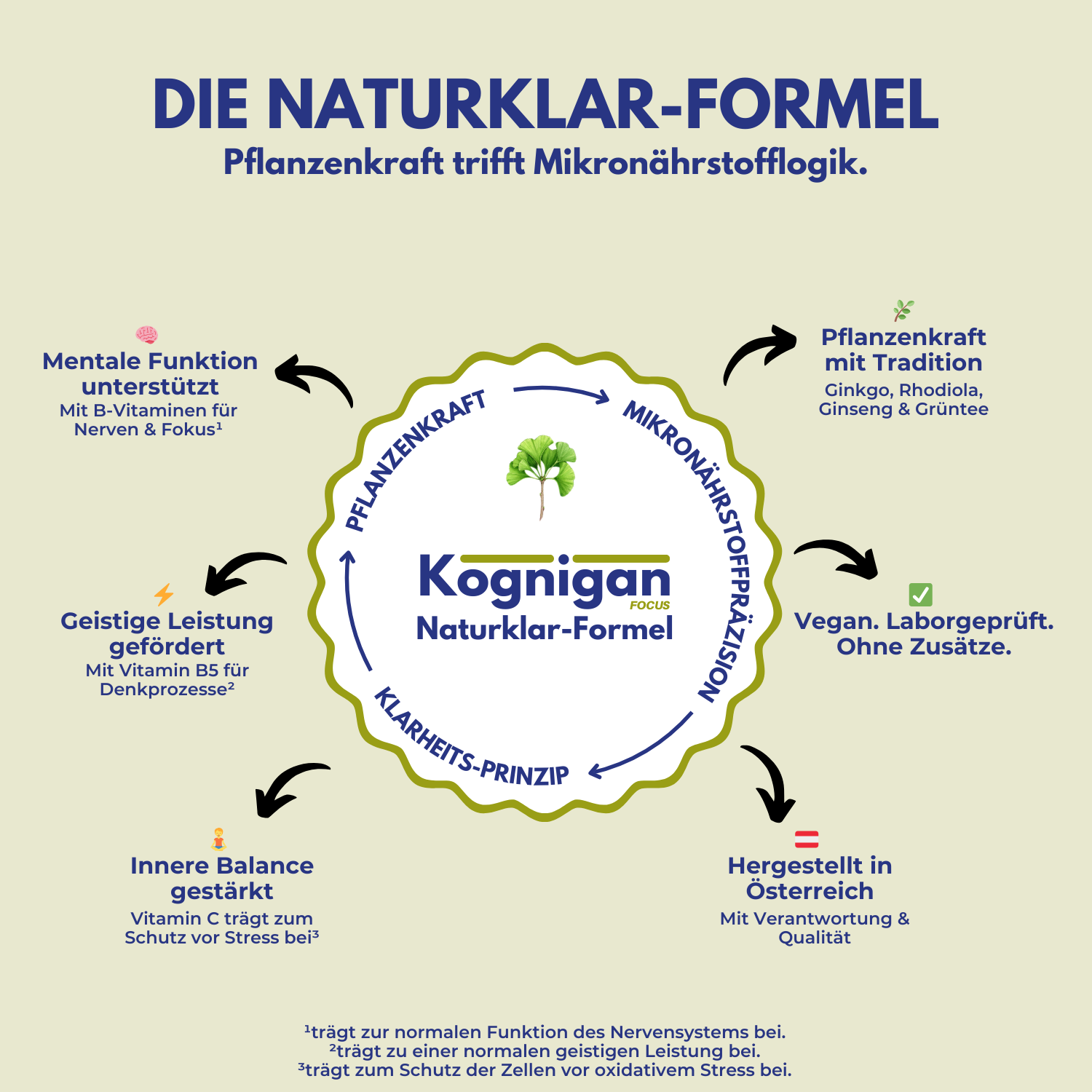 Kognigan - für Gehirn, Konzentration und Gedächtnis - mit Pflanzenextrakten & Vitaminen