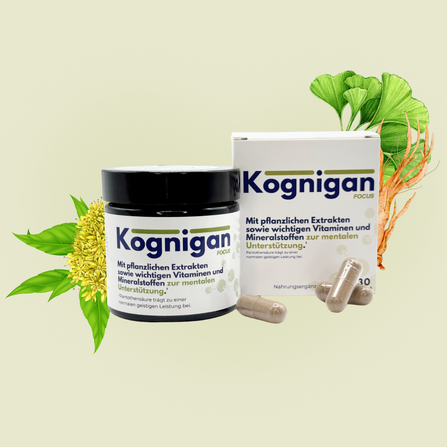 Kognigan - für Gehirn, Konzentration und Gedächtnis - mit Pflanzenextrakten & Vitaminen